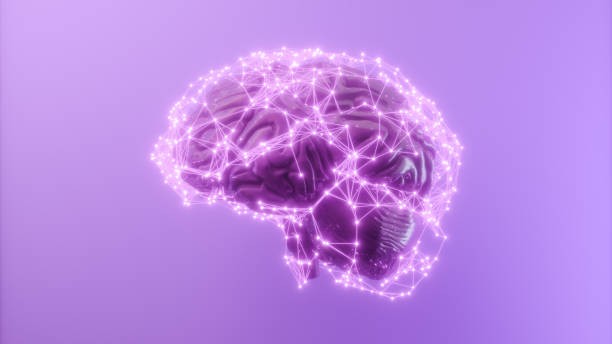 Brains