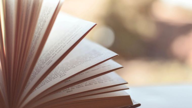 litteratur